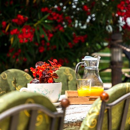 Villa Marco Polo ブドヴァ エクステリア 写真